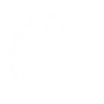 白色的DWIHN标志